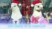 Hatoful Boyfriend Holiday Star • Launch Trailer • PS4 PS Vita PC.mp4