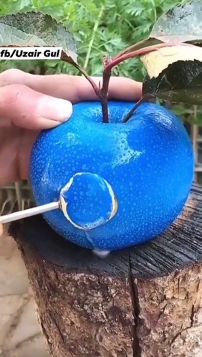 Subhanallah ❤️ Mashallah Subhan Terii Qudrat Best Islamic Vedio Ever Seen