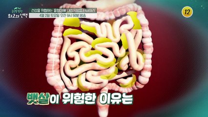 건강을 위협하는 올챙이배! 내장지방을 타파하라_글로벌 힐링 최고의 선택 40회 예고 TV CHOSUN 220402 방송
