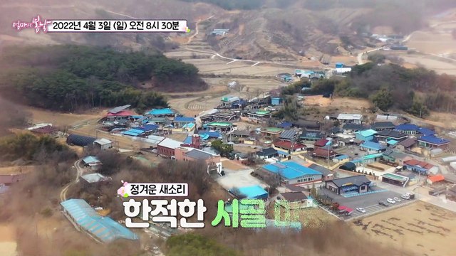 천생연분 당신이 좋아_엄마의 봄날 342회 예고 TV CHOSUN 220403 방송