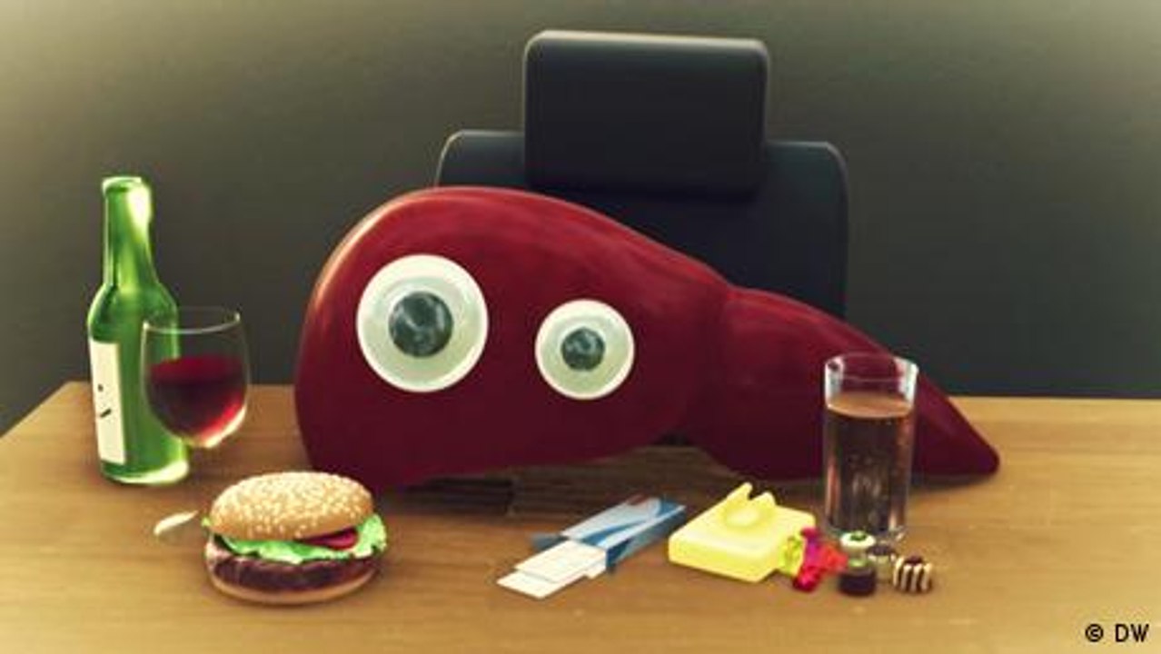 What does the liver do?