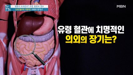 유령 혈관이 생기면 더욱 치명적인 의외의 장기는?