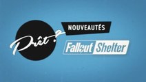 Fallout Shelter MaJ 1.4