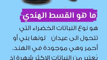 فوائد القسط لهندي للبشرة