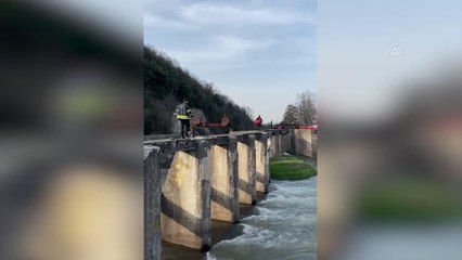 Derede mahsur kalan köpek kurtarıldı