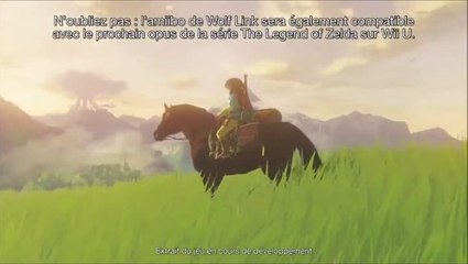 Zelda Twilight Princess HD - amiibo