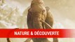 Far Cry Primal : Nature & découverte
