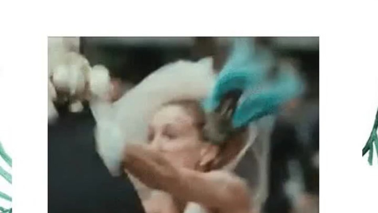 slide-4