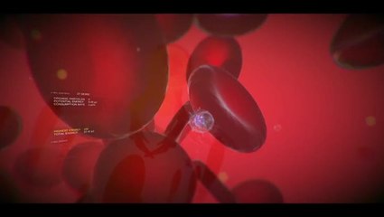 VEV : Viva Ex Vivo