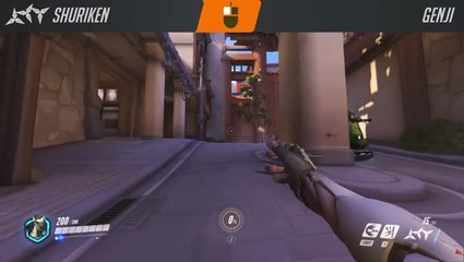 Présentation de Genji