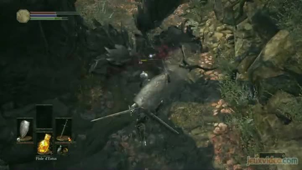 Dark Souls 3 : Du combat en sous-bois