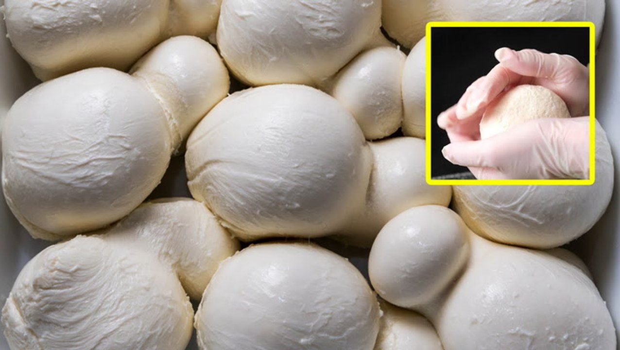 طريقة عمل جبنة الموزاريلا في البيت