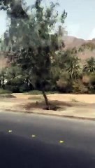 Marhaba aaj chalenge Shah-e-abrar ke paas