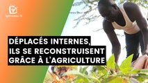 Burkina Faso : Déplacés internes, ils se reconstruisent grâce à l’agriculture