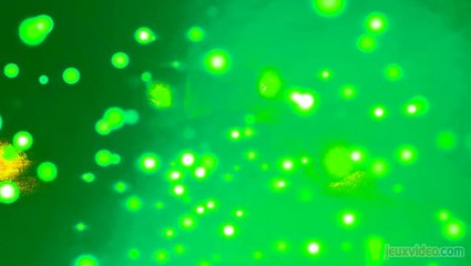 Prospekt : la suite à Opposing Force faite par des fans