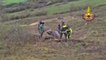 Vigili del fuoco salvano una mucca bloccata nel fango