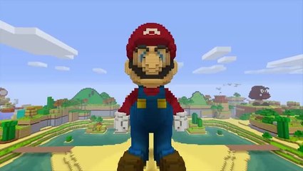 Super Mario Mash-Up, pack pour Minecraft