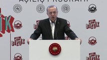 Cumhurbaşkanı Erdoğan'dan sosyal medya için düzenleme sinyali: Yakın zamanda hayata geçireceğiz