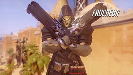 Présentation de Faucheur