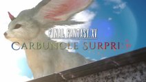 Final Fantasy XV Carbuncle Surprise vous offre des cadeaux