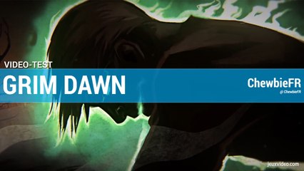 Vidéo test : grim dawn