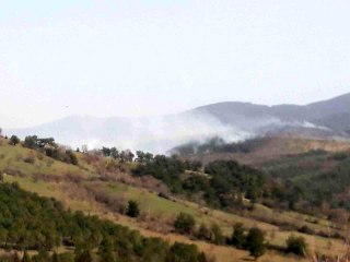 Son dakika... Çanakkale'de orman yangını
