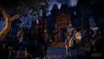 Elder Scrolls Online : The Dark Brotherhood