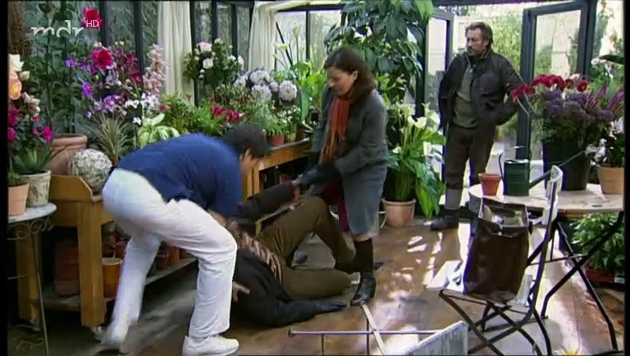 Sturm der Liebe Folge 541