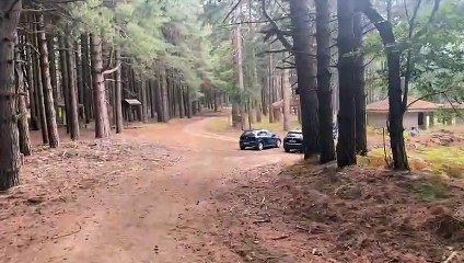 Ragazza sbranata dai cani in Calabria, arrestato il proprietario degli animali