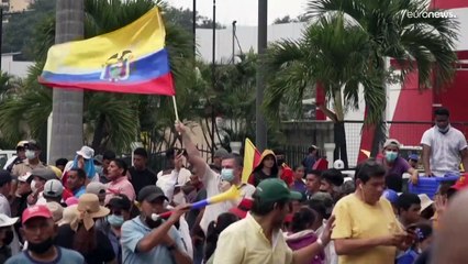 Protest gegen Preisverfall: Wie Ecuadors Bauern unter dem Ukraine-Krieg leiden