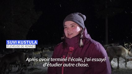 En Laponie, l'élevage de rennes prend un coup de jeune