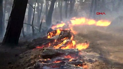 Çanakkale'de orman yangını
