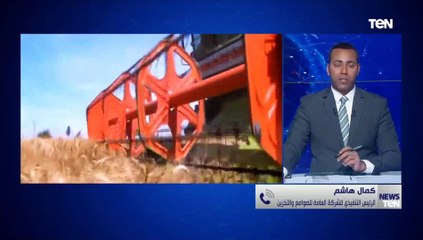 رئيس الشركة العامة للصوامع والتخزين: جاهزين بـ400 موقع لتوريد القمح والبداية كانت من جنوب سيناء