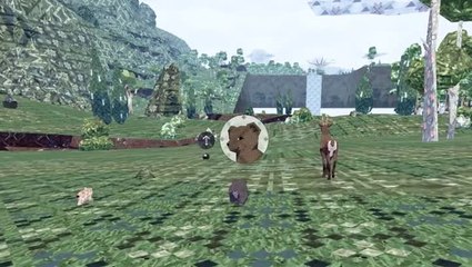 Meadow fait son arrivée en vidéo