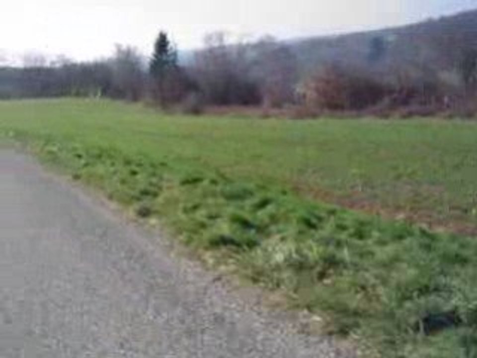 MOV04292