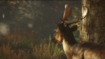 theHunter : Call of the Wild vous initie à la chasse