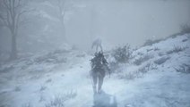 Dark Souls III : Ashes of Ariandel - un gameplay glacial
