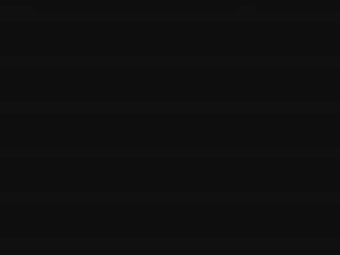 Presentation perso dofus ma 1ere video dofus