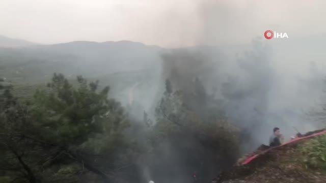 Gemlik'teki orman yangını kısmen kontrol altında