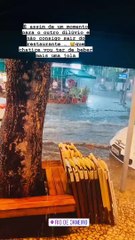 Bárbara Norton de Matos