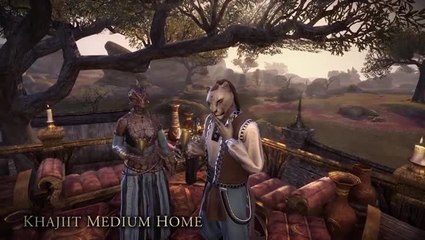 The Elder Scrolls Online : Le Housing débarque bientôt !