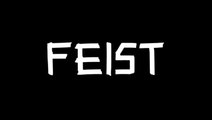 Feist nous annonce son arrivée sur consoles