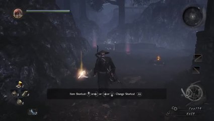 Nioh : un boss fight intense