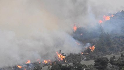 Havalar ısındı, orman yangınları başladı! OGM, hafta sonu için beklenen tehlikeye dikkat çekti