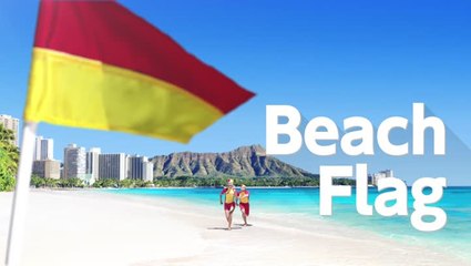 1-2 switch beach flag