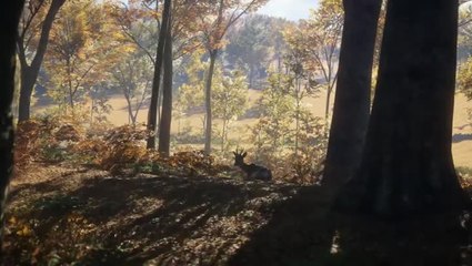 theHunter Call of the Will Layton Lake District
