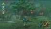The Legend of Zelda : Breath of the Wild - Oui, il y a des villages !