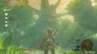 The Legend of Zelda : Breath of the Wild - Les Epreuves Légendaires : L'Epreuve de l'Epée