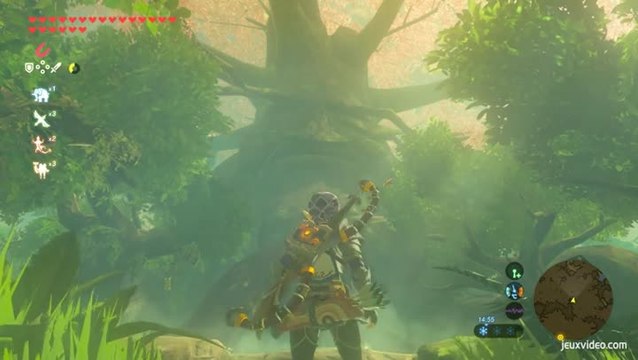 The Legend of Zelda : Breath of the Wild - Les Epreuves Légendaires : L'Epreuve de l'Epée
