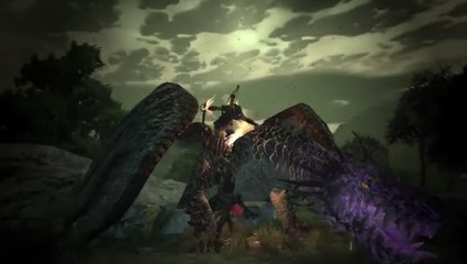 Dragon's Dogma: Dark Arisen - PS4 / Xbox One Trailer